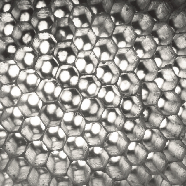 5 interesting skin facts